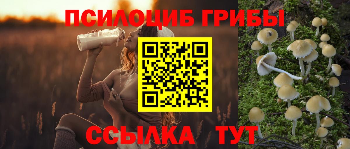Псилоцибиновые грибы прущие грибы Лабытнанги